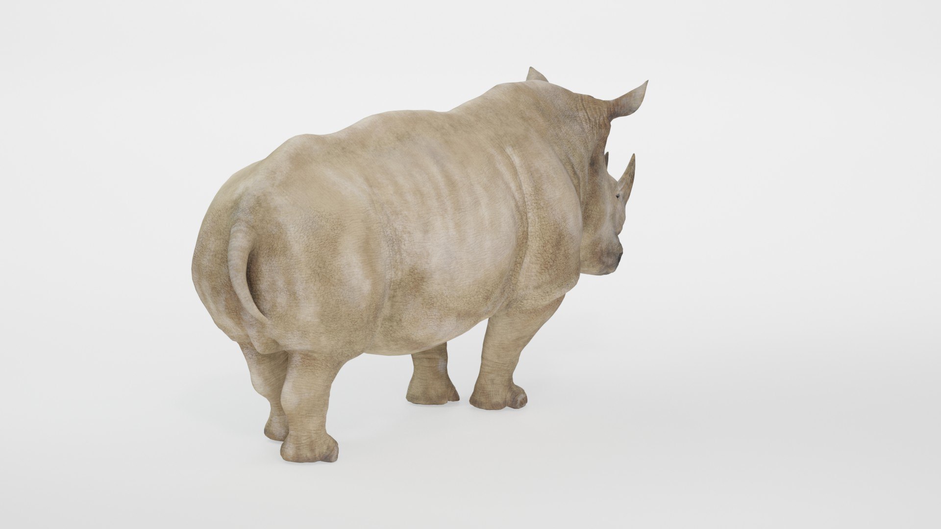 Fully Rigged Animated Realistic White Rhinoceros 3D model https://p.turbosquid.com/ts-thumb/WZ/amkrhR/Kr/preview10007/jpg/1783717753/1920x1080/fit_q87/b434198613acdc8c4da677592a1cd2e0804666b0/preview10007.jpg