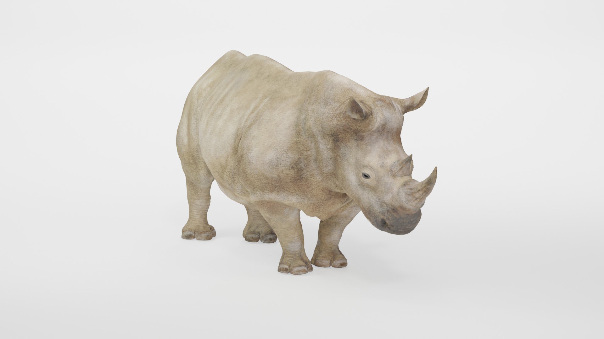 Fully Rigged Animated Realistic White Rhinoceros 3D model https://p.turbosquid.com/ts-thumb/WZ/amkrhR/Rh/preview10010/jpg/1783717755/1920x1080/fit_q87/10683ae0fb8ffebe1eba66fbe43e06a00a0780df/preview10010.jpg
