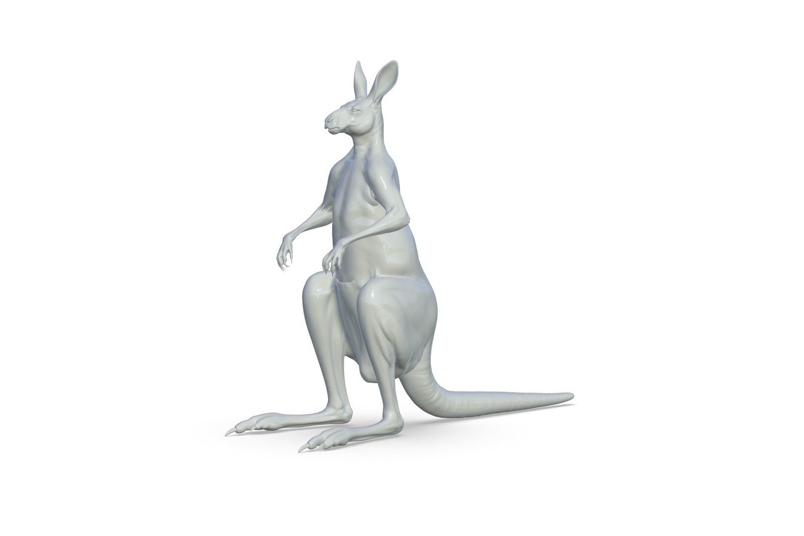 Kangaroo 3D Model - TurboSquid 2208403