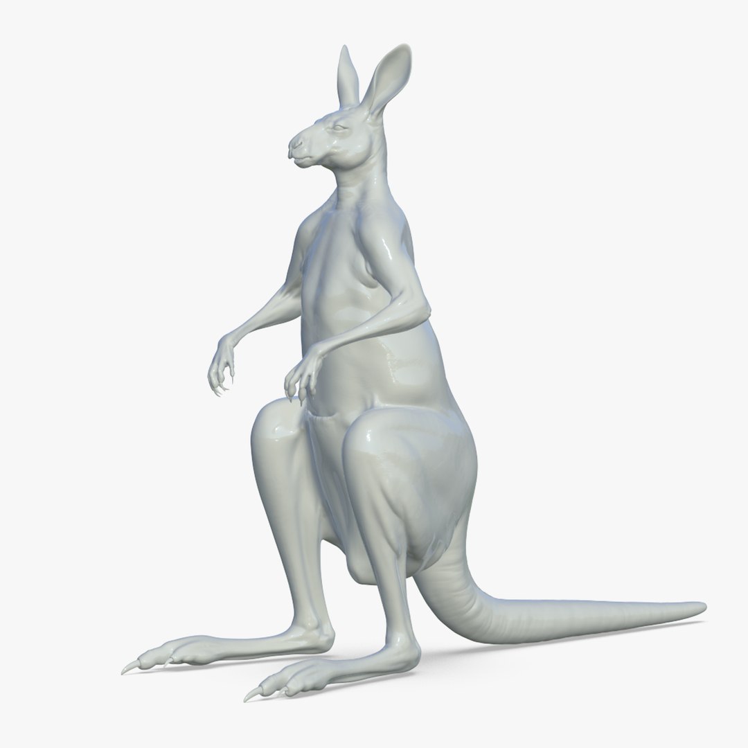 Kangaroo 3D Model - TurboSquid 2208403