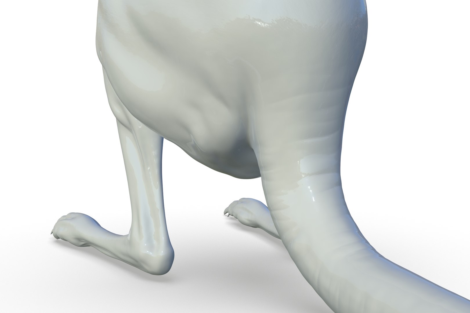 Kangaroo 3D Model - TurboSquid 2208403