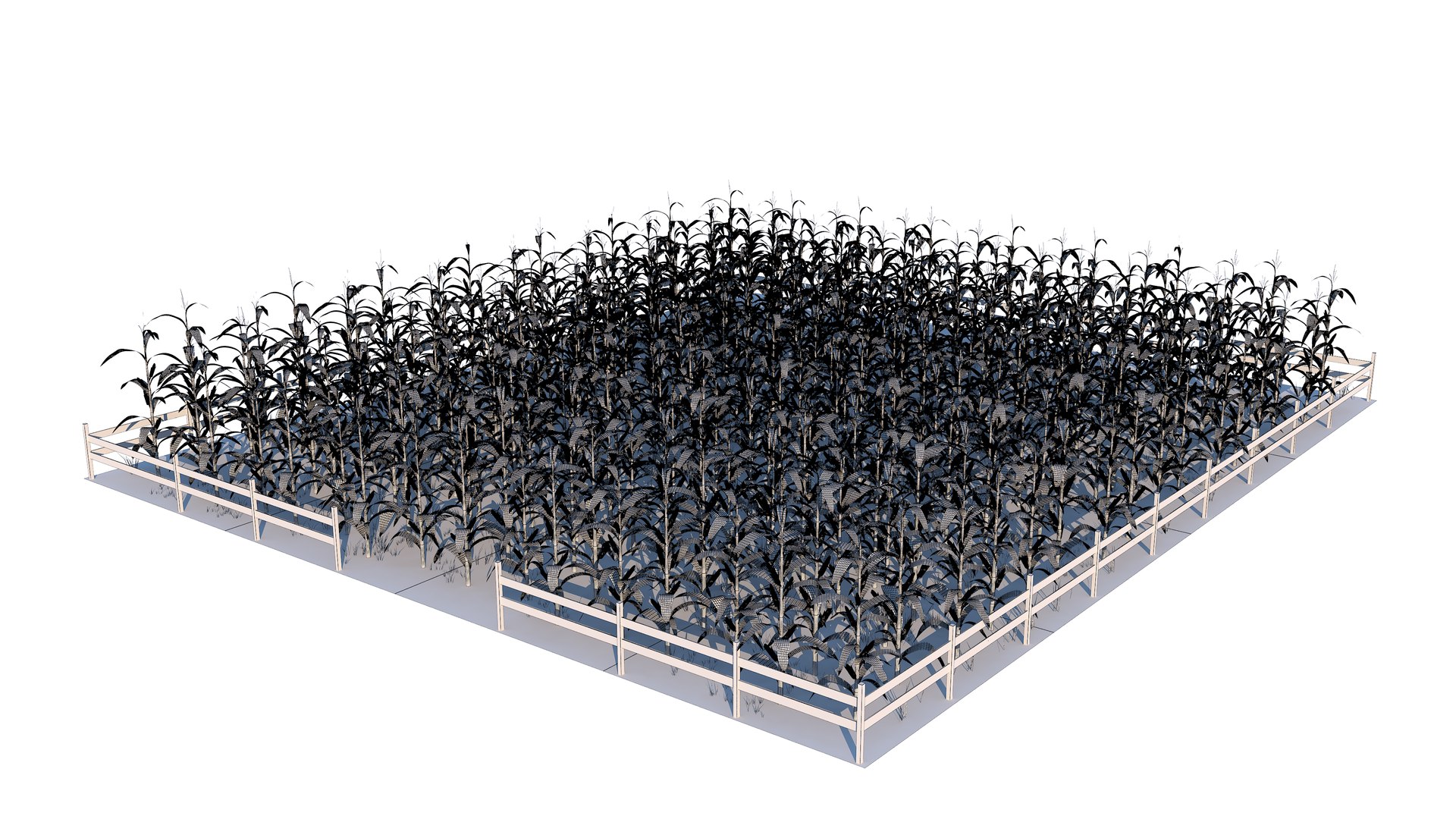 Farm Collection 3 3D model https://p.turbosquid.com/ts-thumb/WZ/lbPNmY/mW/cornfield16/jpg/1659364158/1920x1080/fit_q87/5a94a1bc4d7ba83ea27194c4ab08c403c44b2f6c/cornfield16.jpg