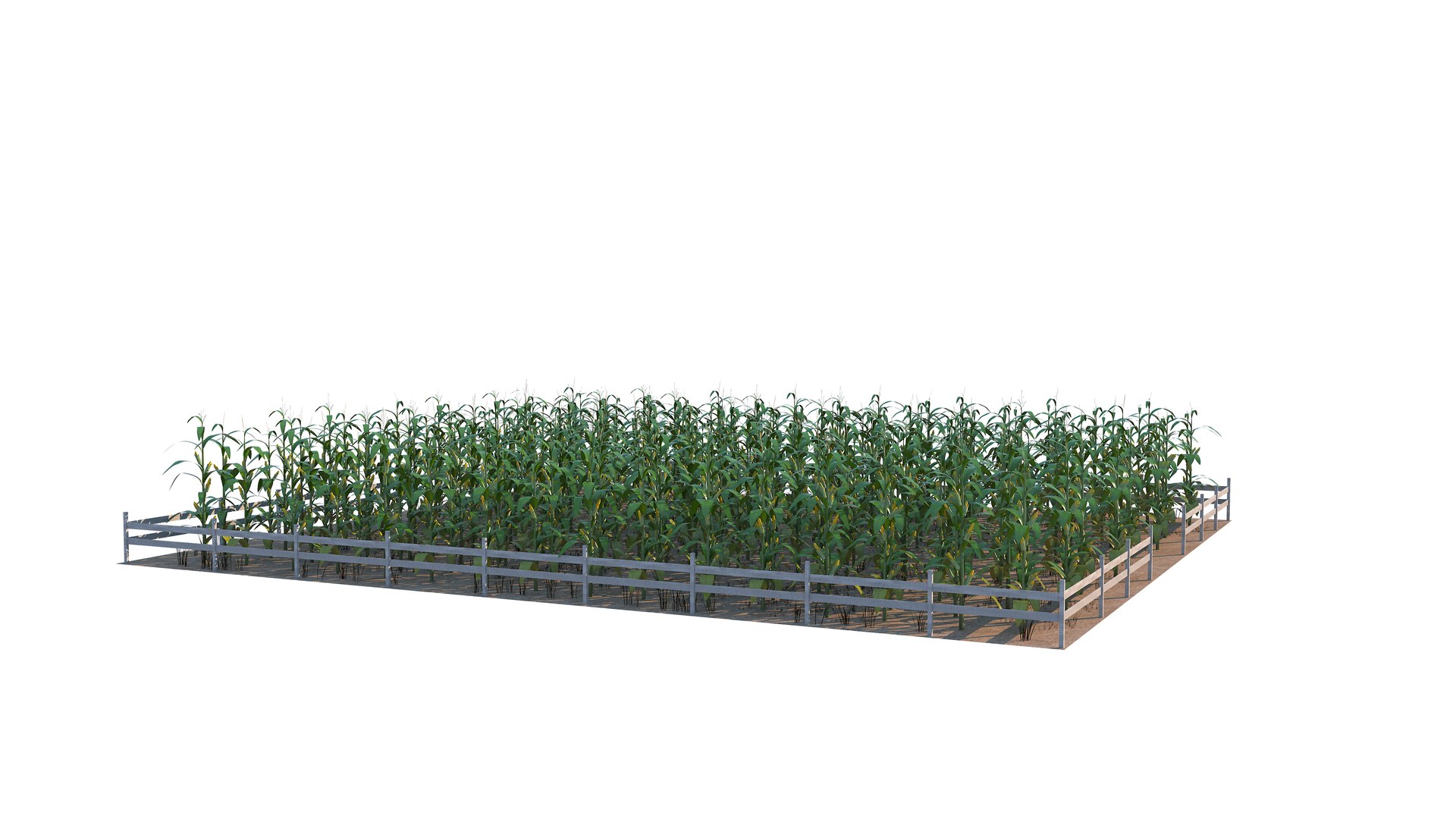 Farm Collection 3 3D model https://p.turbosquid.com/ts-thumb/WZ/lbPNmY/tl/cornfield12/jpg/1659364116/1920x1080/fit_q87/08df947d8fcfeece2372a1f0fc1326154d2480dc/cornfield12.jpg