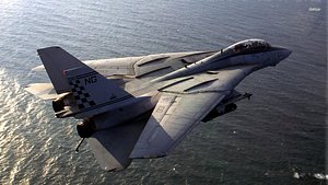 3D model Grumman F-14 Tomcat