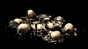 Broken Skulls COLLECTION