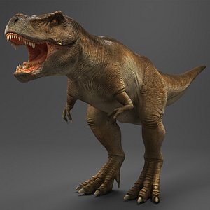 3D Tyrannosaurus Rex Dinosaur model