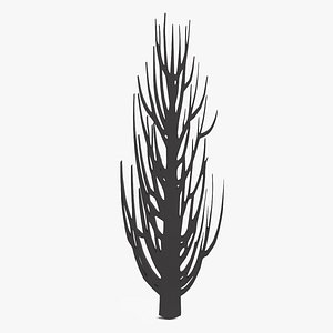 3D Desert Tree Silhouette