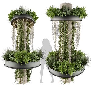 3D High-quality 3D plant collection vol 624 - ampelous - hanging - ivy