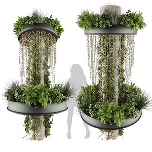 High-quality 3D plant collection vol 624 - ampelous - hanging - ivy