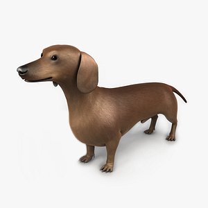 teckel animation max