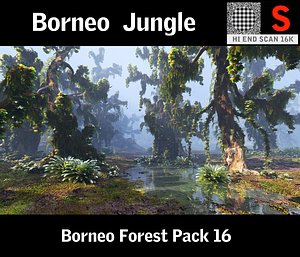 3d model of borneo forest hd