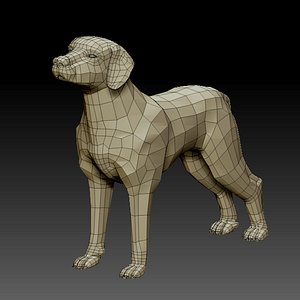 3D dog