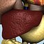 Human Internal Organs (Max)