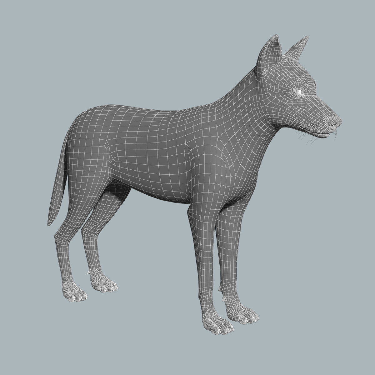 gray wolf fur rigged max