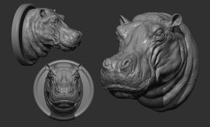 Hippopotamus head with background 3D model