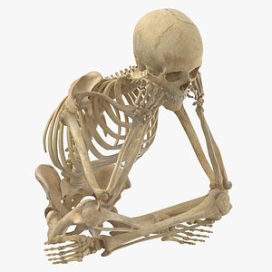 Real Human Female Skeleton Pose 108 3D