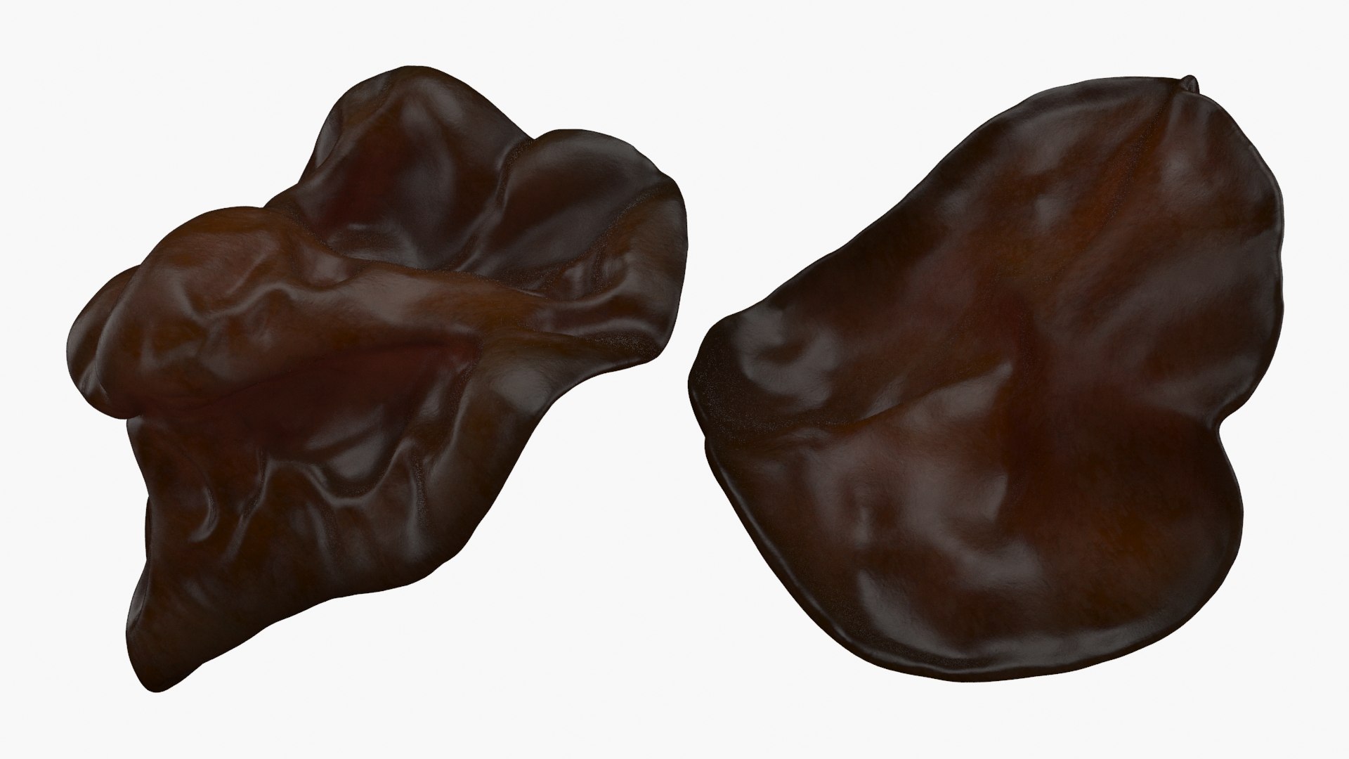 Wood Ear Mushroom 3D model https://p.turbosquid.com/ts-thumb/Wb/SsdEqv/7S/woodearmushroom_a0002/jpg/1629730024/1920x1080/fit_q87/fc0f7fdab44060b1245477ef688b50773c54854c/woodearmushroom_a0002.jpg
