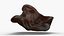 Wood Ear Mushroom