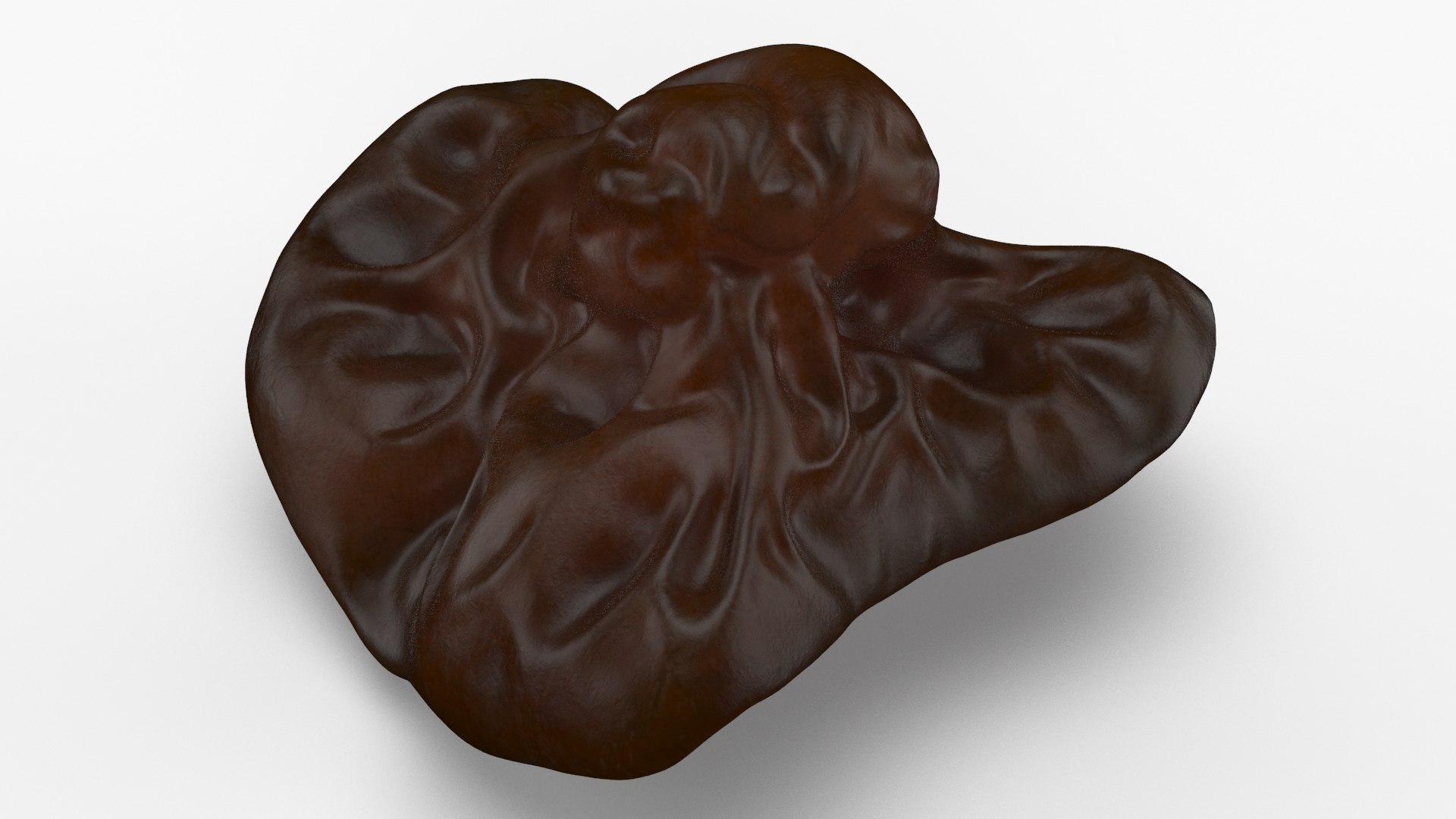 Wood Ear Mushroom 3D model https://p.turbosquid.com/ts-thumb/Wb/SsdEqv/KU/woodearmushroom_b0000/jpg/1629730025/1920x1080/fit_q87/110208363ecc942de913f230f57040b003f39149/woodearmushroom_b0000.jpg