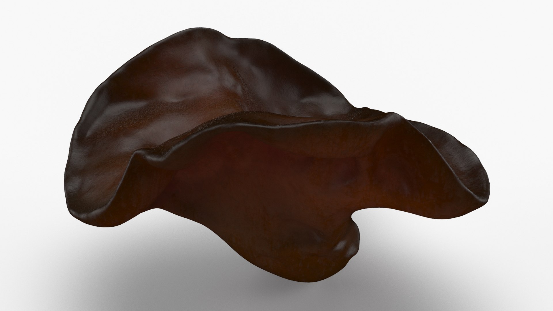 Wood Ear Mushroom 3D model https://p.turbosquid.com/ts-thumb/Wb/SsdEqv/TV/woodearmushroom_b0018/jpg/1629730028/1920x1080/fit_q87/720f67d7221d339071d3a2003b8b6b943e922f10/woodearmushroom_b0018.jpg
