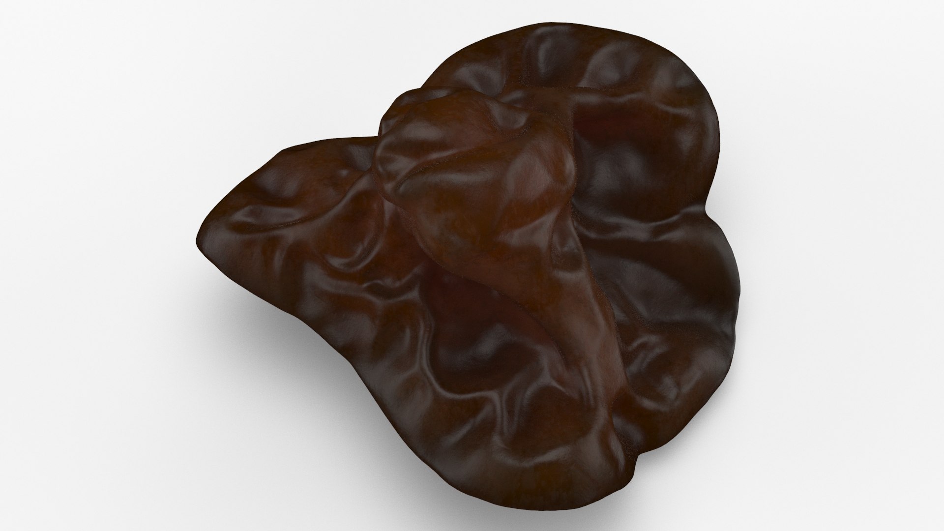 Wood Ear Mushroom 3D model https://p.turbosquid.com/ts-thumb/Wb/SsdEqv/Vp/woodearmushroom_b0012/jpg/1629730025/1920x1080/fit_q87/e7068a8851ffab283747775e59c444dcc6849b44/woodearmushroom_b0012.jpg