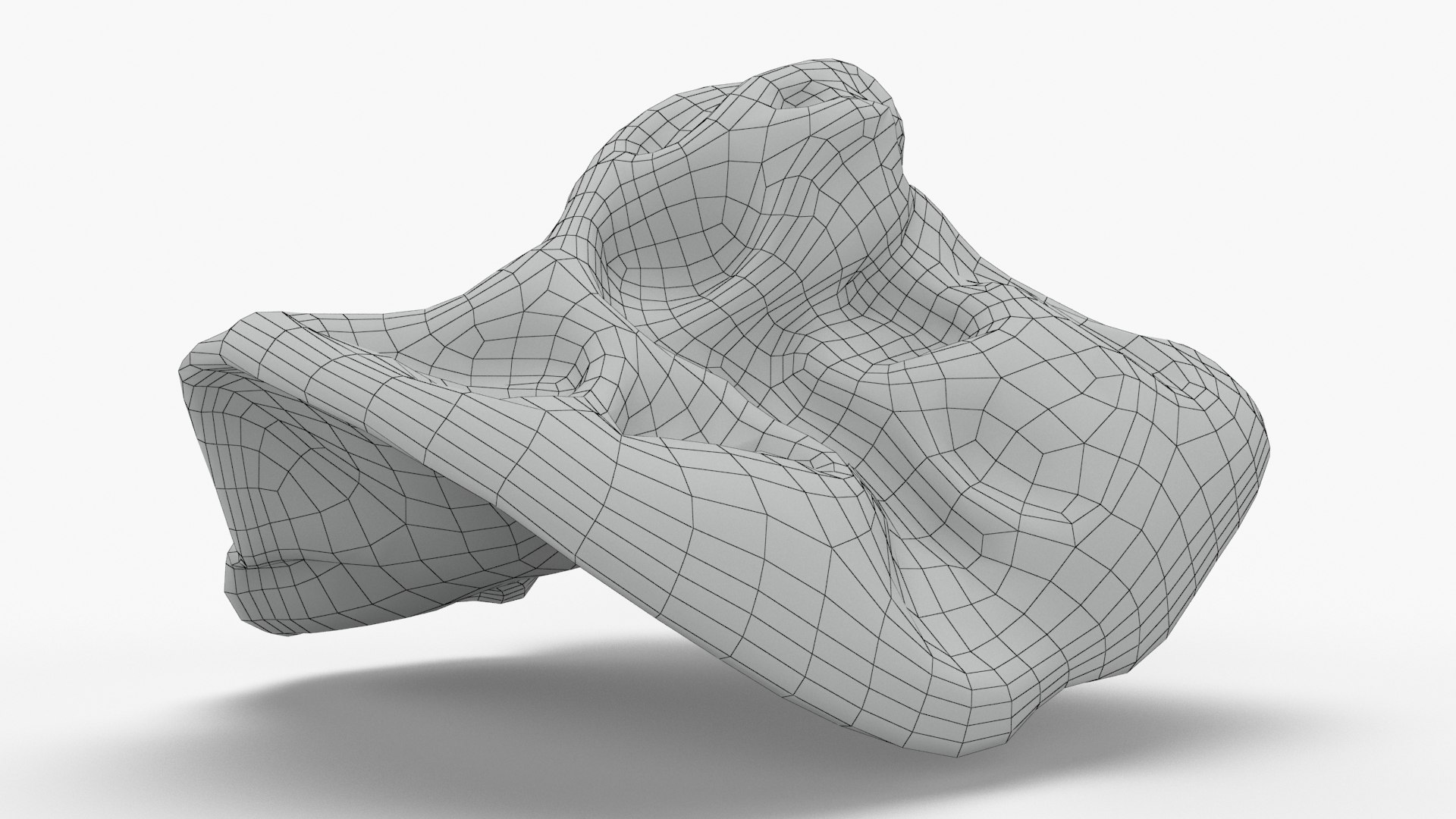 Wood Ear Mushroom 3D model https://p.turbosquid.com/ts-thumb/Wb/SsdEqv/a0/woodearmushroom_c0004/jpg/1629730032/1920x1080/fit_q87/1cd64c881edb7a644951180c4a1f6a26418872af/woodearmushroom_c0004.jpg