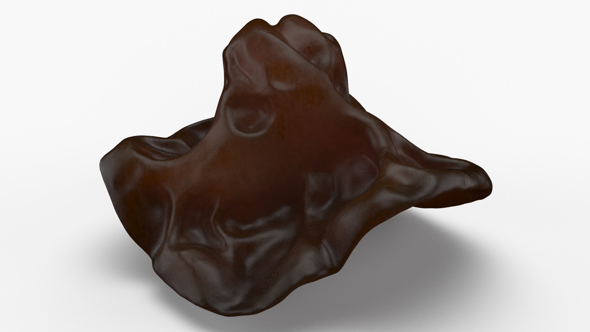 Wood Ear Mushroom 3D model https://p.turbosquid.com/ts-thumb/Wb/SsdEqv/bA/woodearmushroom_b0008/jpg/1629730025/1920x1080/fit_q87/7a6476636a157d1096f37928e886cd1c1bb3e8cf/woodearmushroom_b0008.jpg