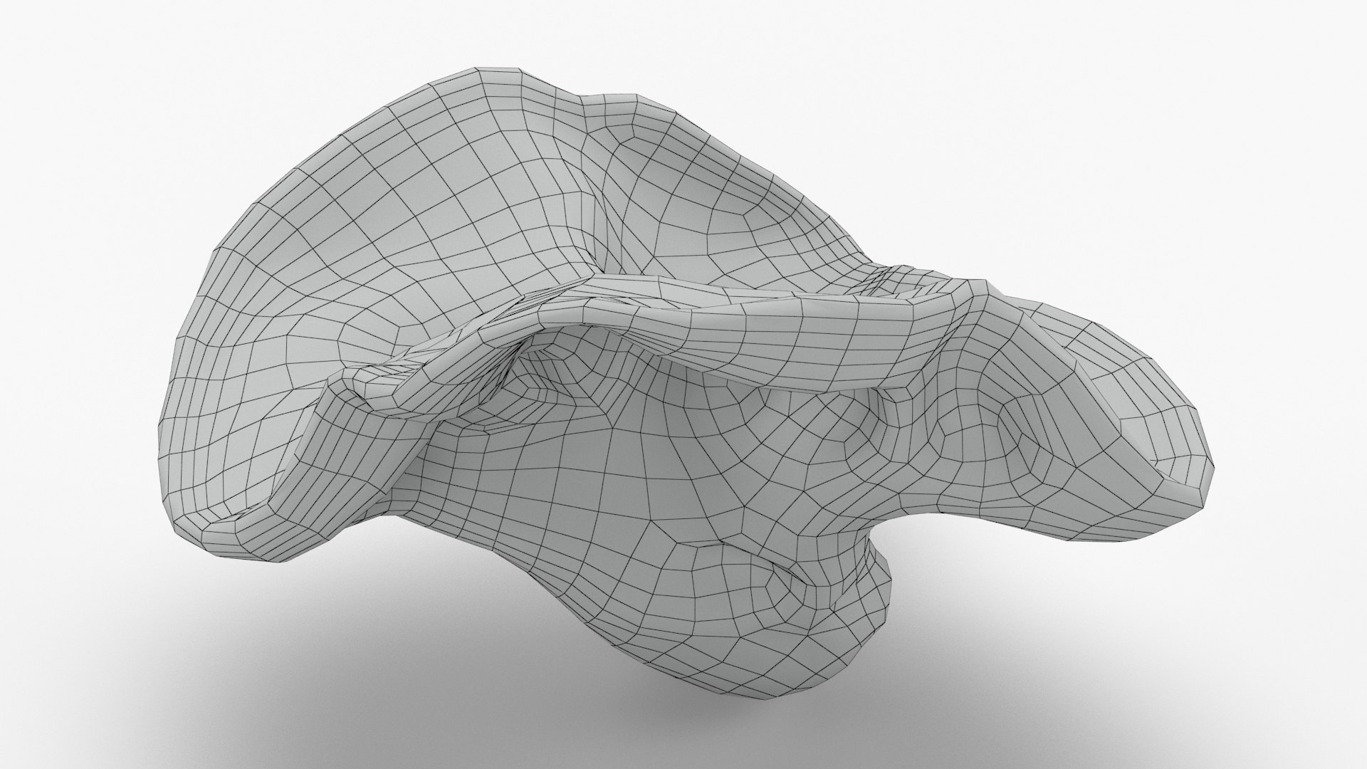 Wood Ear Mushroom 3D model https://p.turbosquid.com/ts-thumb/Wb/SsdEqv/dr/woodearmushroom_c0001/jpg/1629730030/1920x1080/fit_q87/1f372fff91c5066755961870e6b4a2ff17b6bc48/woodearmushroom_c0001.jpg