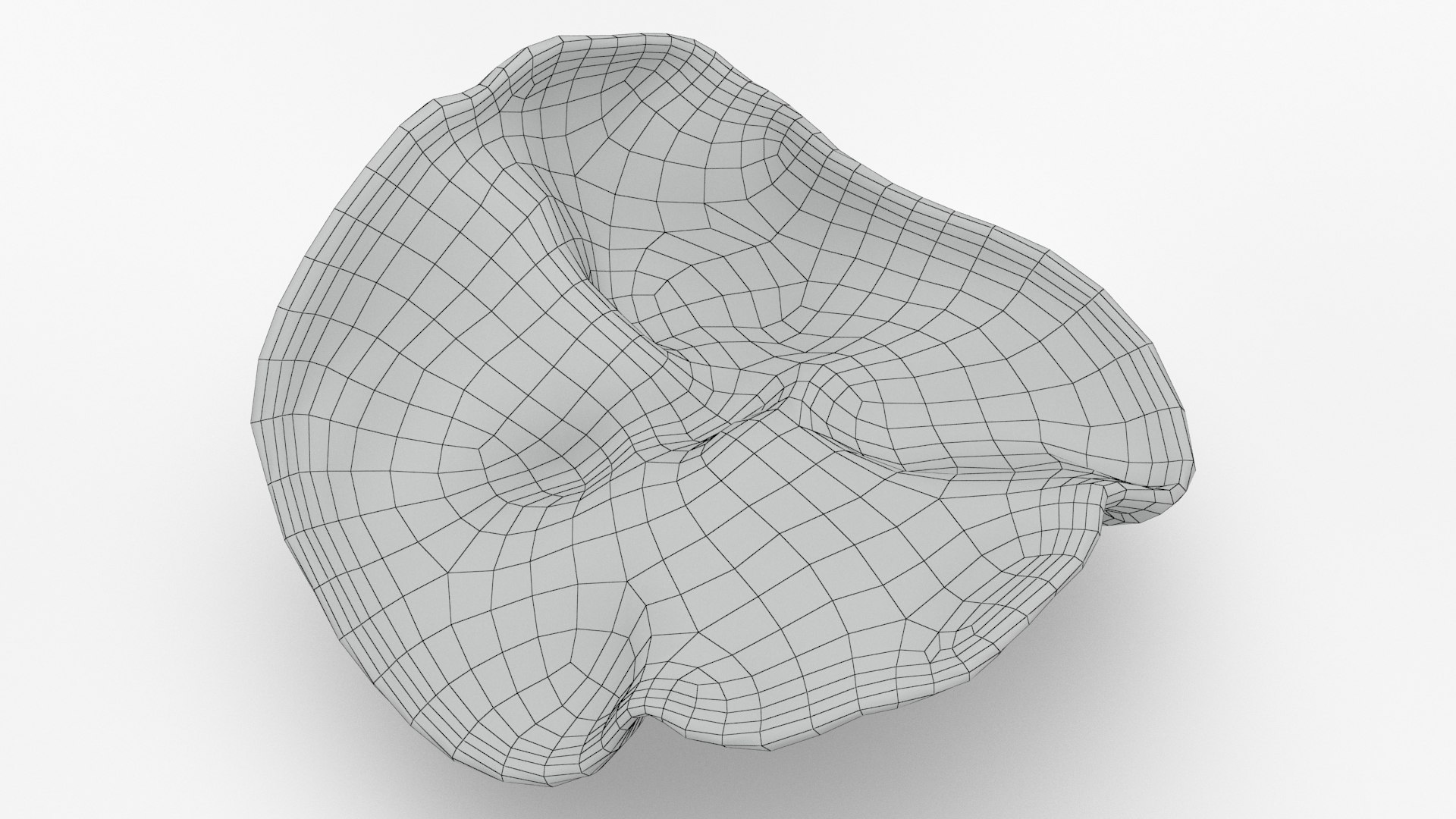Wood Ear Mushroom 3D model https://p.turbosquid.com/ts-thumb/Wb/SsdEqv/ea/woodearmushroom_c0017/jpg/1629730032/1920x1080/fit_q87/f410d73bde3be751d79be169a1b5fd91c86158e8/woodearmushroom_c0017.jpg