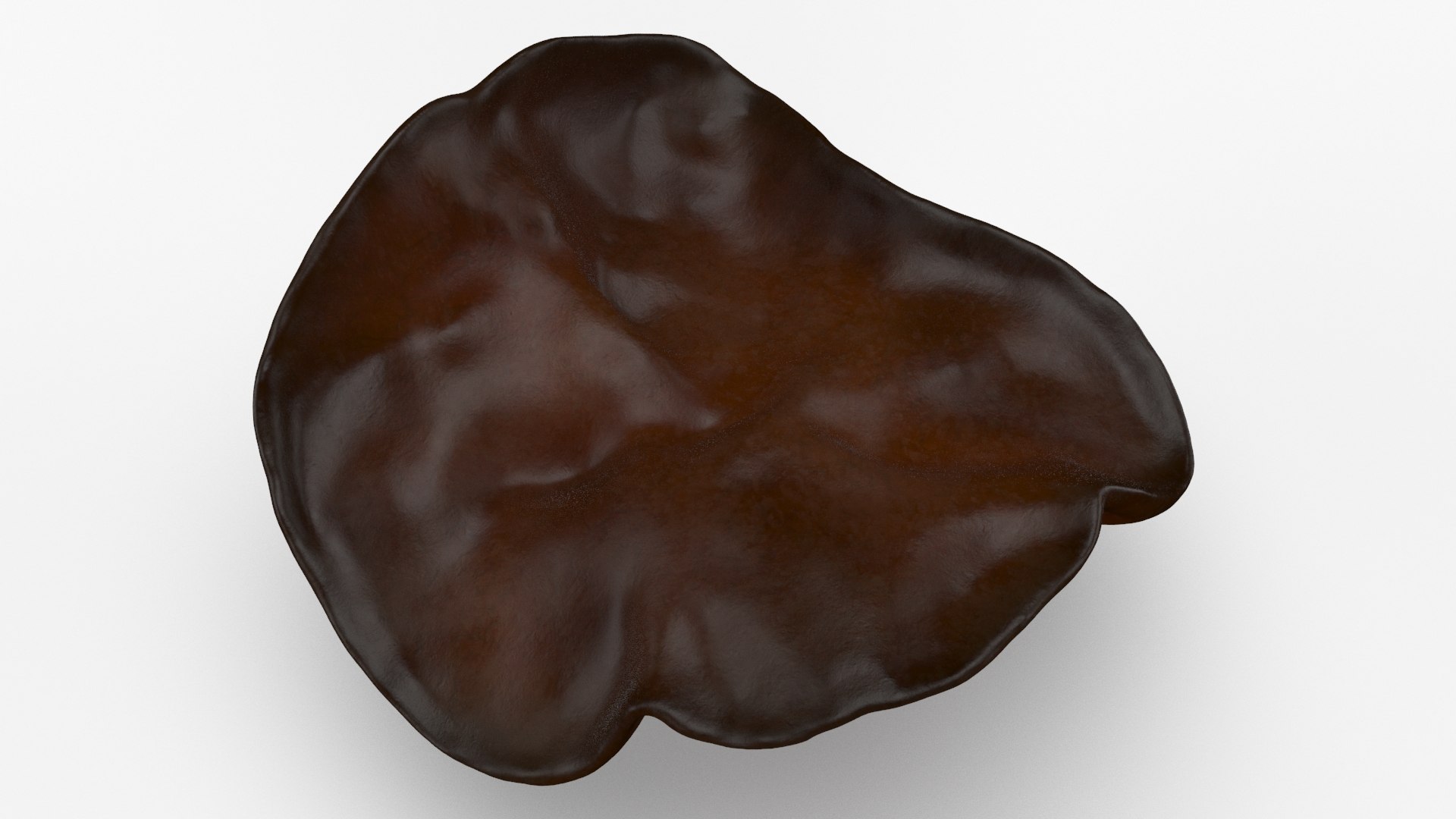 Wood Ear Mushroom 3D model https://p.turbosquid.com/ts-thumb/Wb/SsdEqv/g0/woodearmushroom_b0017/jpg/1629730028/1920x1080/fit_q87/2abb47acbf55ee2e588b5145877d90744fe0f5f6/woodearmushroom_b0017.jpg