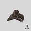 Wood Ear Mushroom