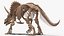 triceratops fossil walking pose 3D model