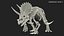 triceratops fossil walking pose 3D model
