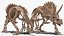 triceratops fossil walking pose 3D model