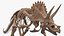 triceratops fossil walking pose 3D model