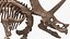 triceratops fossil walking pose 3D model