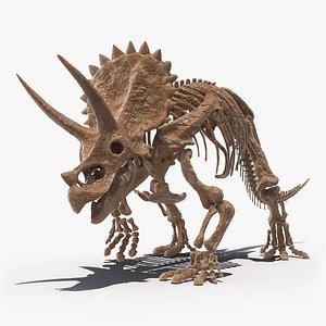 triceratops fossil walking pose 3D model