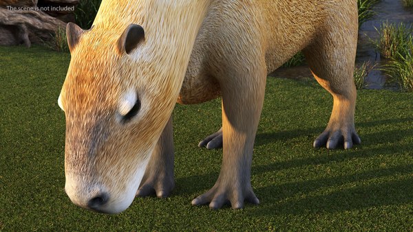 modelo 3d Carpincho aparejado para Maya - TurboSquid 1958266