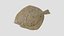 Turbot 2
