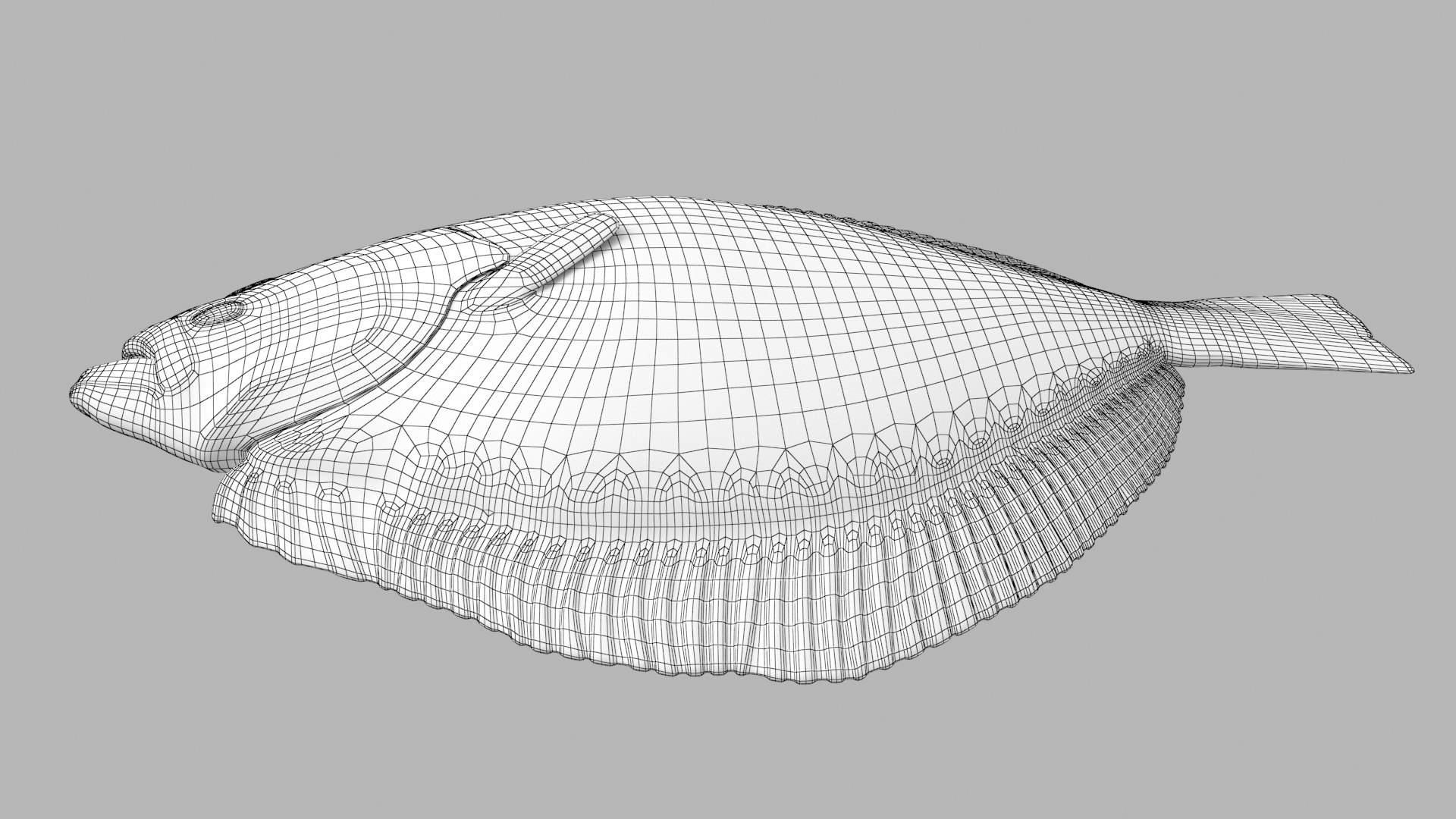 3D turbot pbr https://p.turbosquid.com/ts-thumb/Wc/Ch3edT/f3LWNb1k/turbot_r2w/png/1590248324/1920x1080/fit_q87/7055d0e7aa9ffb684e5e9fe60fcfa8068c799486/turbot_r2w.jpg