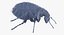 3D flea standing