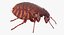 3D flea standing