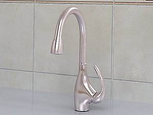 Danze Bellefleur Kitchen Faucet D404546