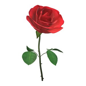 3D model rose