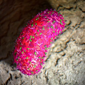 c4d bacterium covered small germs