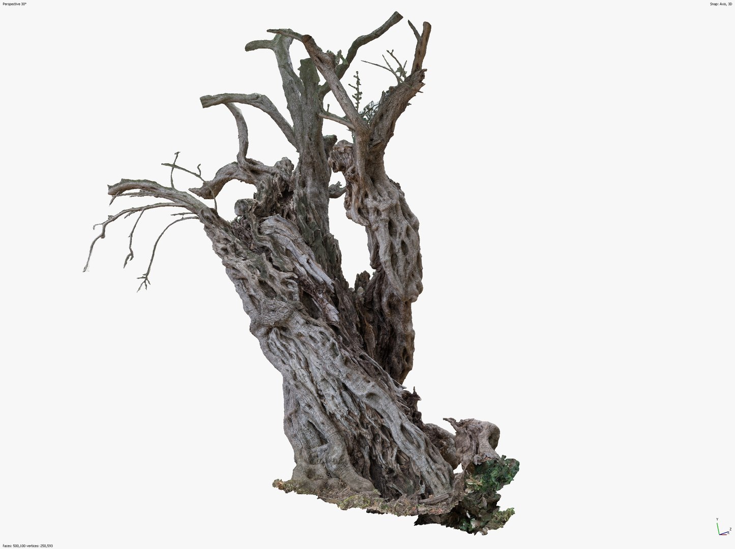 4 Olive High-Resolution Tree 3D scans in One Bundle 3D https://p.turbosquid.com/ts-thumb/Wc/m7hgPo/EW/screenshot_5/jpg/1641577045/1920x1080/fit_q87/5e57371f306fe6f00236de79f958aa03625e3d9c/screenshot_5.jpg