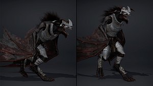 Shadow Swordman Wing1