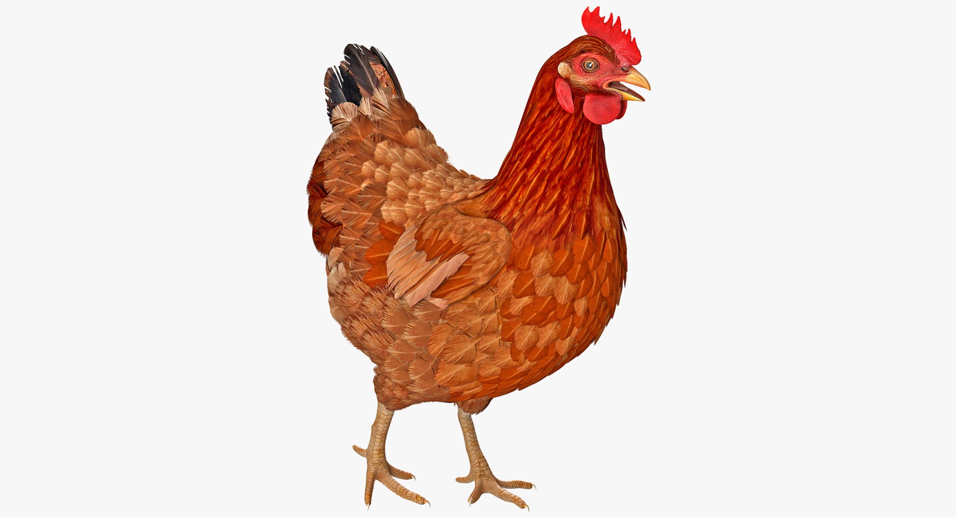 3D Farm Animals Big Collection 4 https://p.turbosquid.com/ts-thumb/Wc/o7Zjhi/4y/farm_animals_big_collection_4_051/jpg/1763127784/1920x1080/fit_q87/674f6c6cda40abf3a94641f1479892a19d6ede8f/farm_animals_big_collection_4_051.jpg
