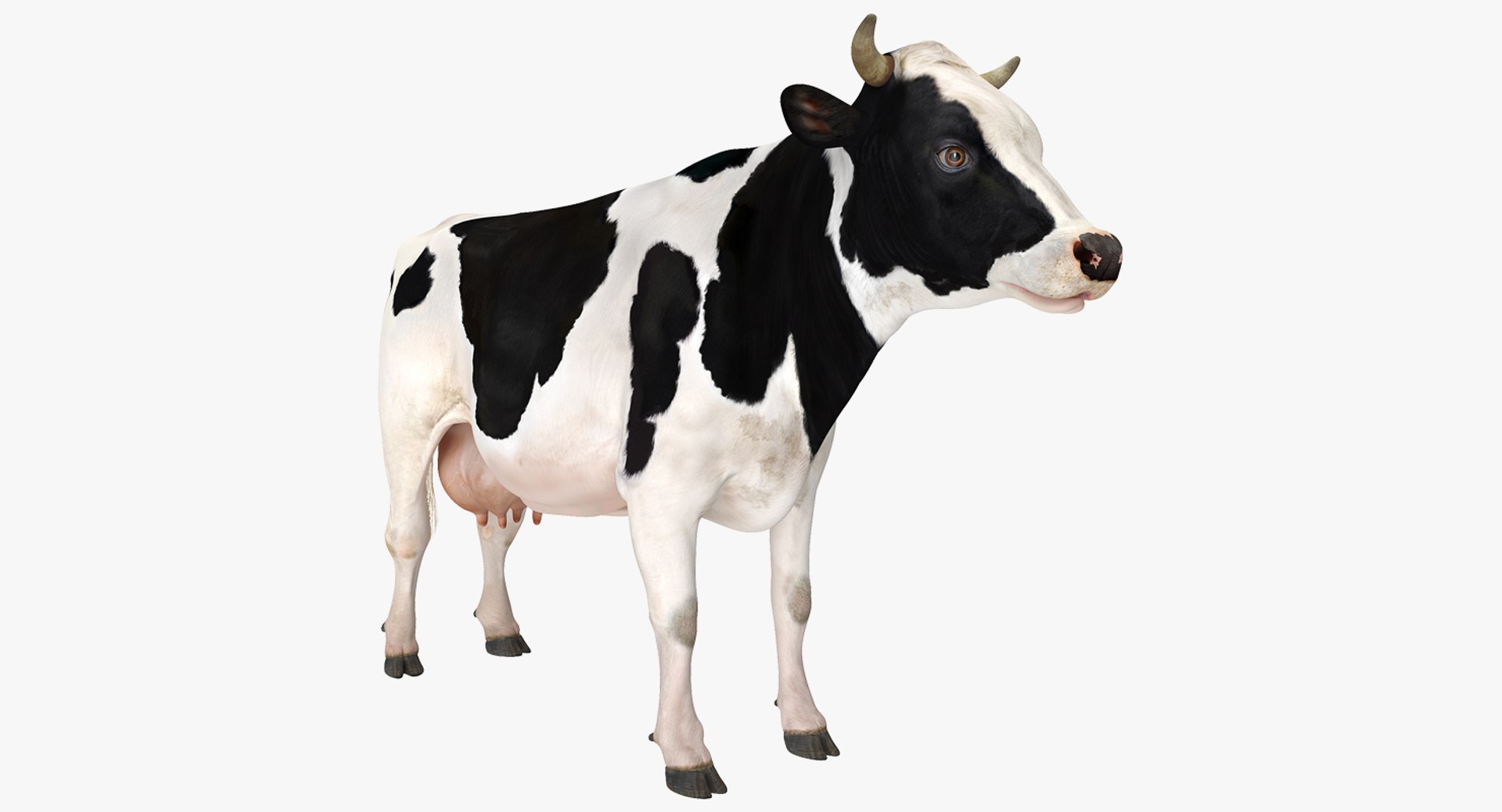 3D Farm Animals Big Collection 4 https://p.turbosquid.com/ts-thumb/Wc/o7Zjhi/im/farm_animals_big_collection_4_037/jpg/1763127767/1920x1080/fit_q87/0bfc2ff3f59252f17b70e55883ddc8962c4e12f1/farm_animals_big_collection_4_037.jpg
