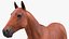 Grande collection d'animaux de la ferme 4